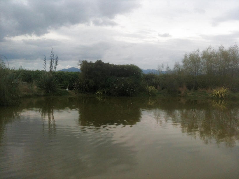 Name:  IMG_0245sm.JPG
Views: 558
Size:  324.4 KB