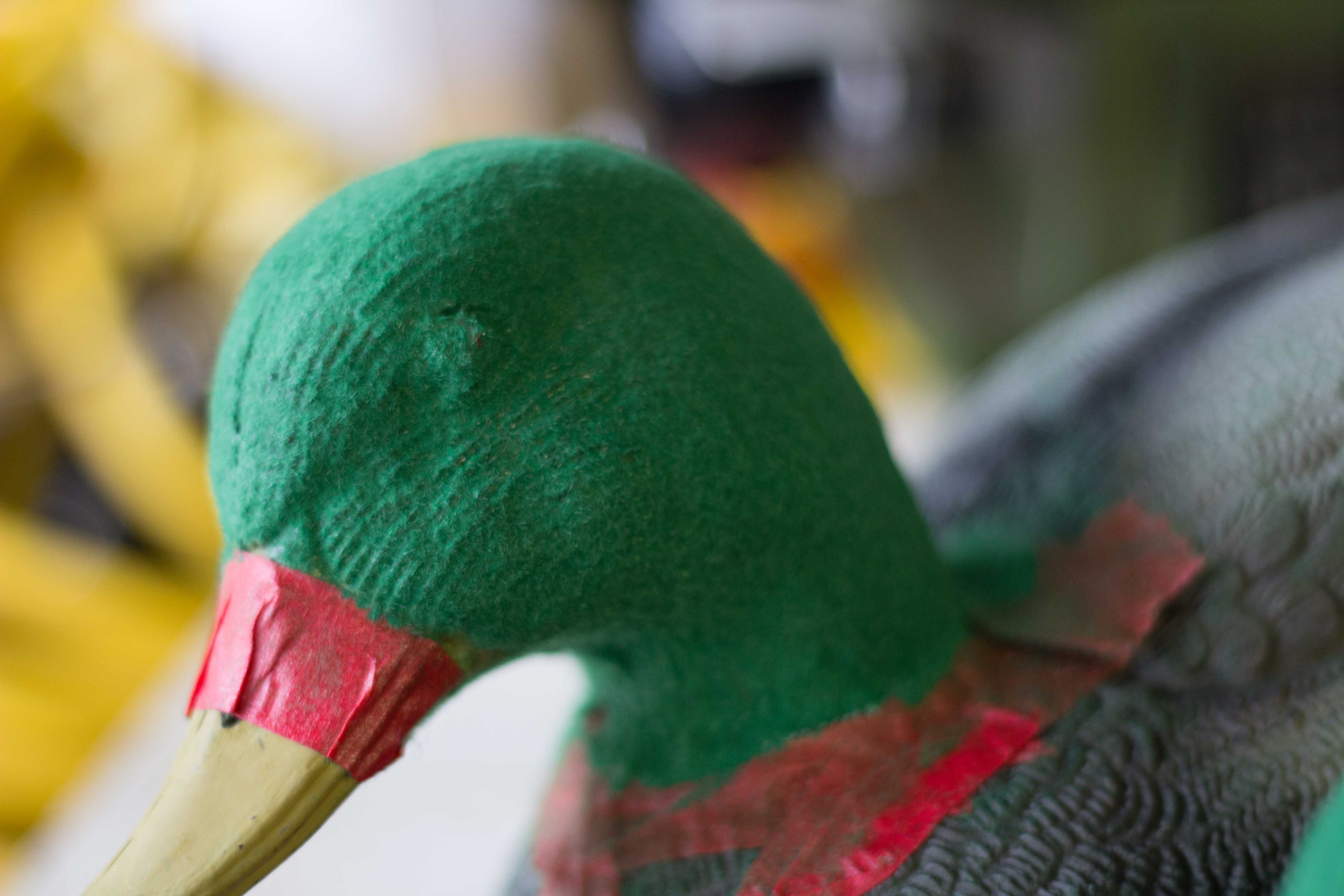 Name:  Flocking-2.jpg
Views: 1369
Size:  499.8 KB