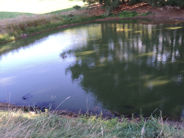 Name:  picture 1389.jpg
Views: 340
Size:  164.4 KB