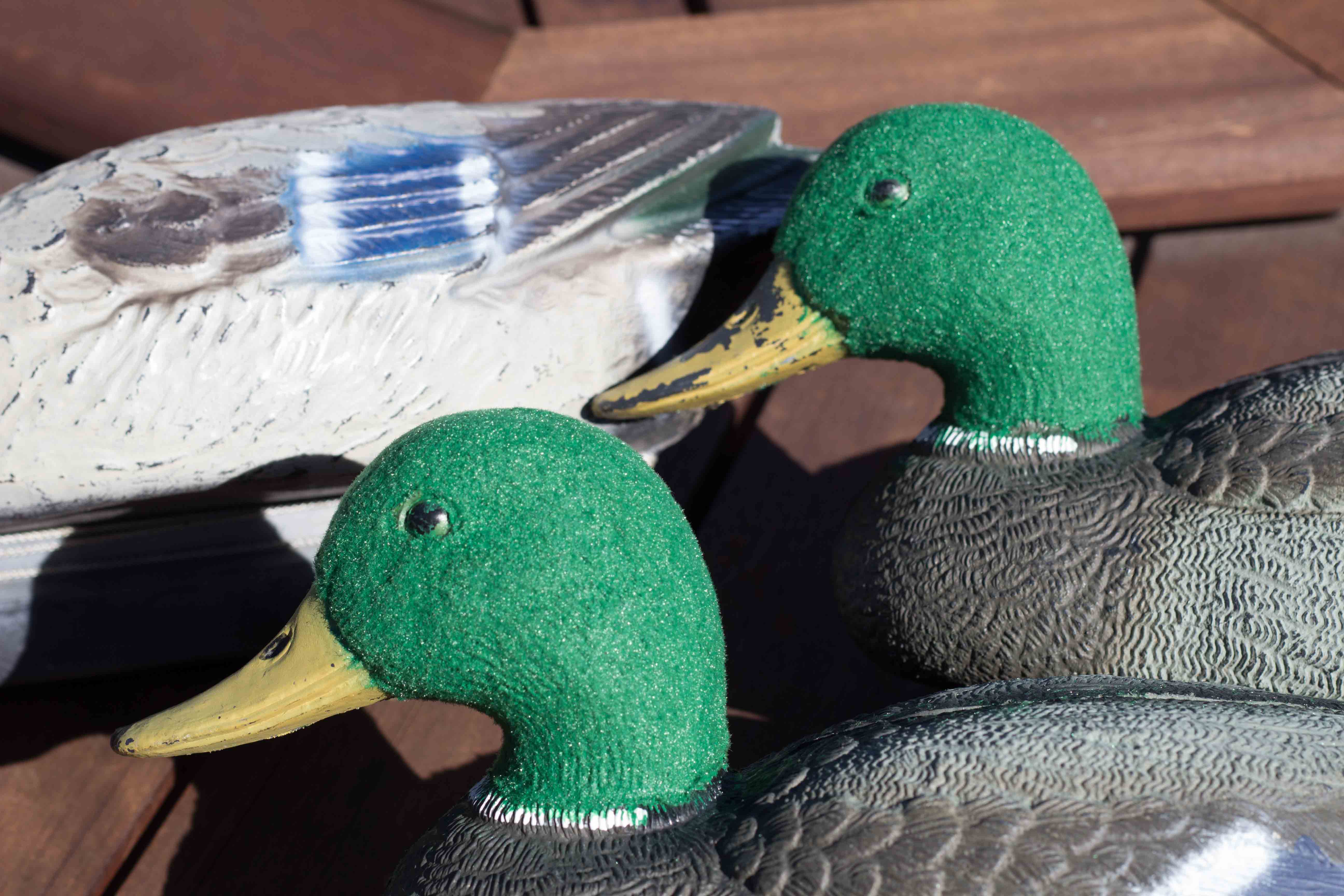 Name:  Flocking-4.jpg
Views: 1216
Size:  470.1 KB