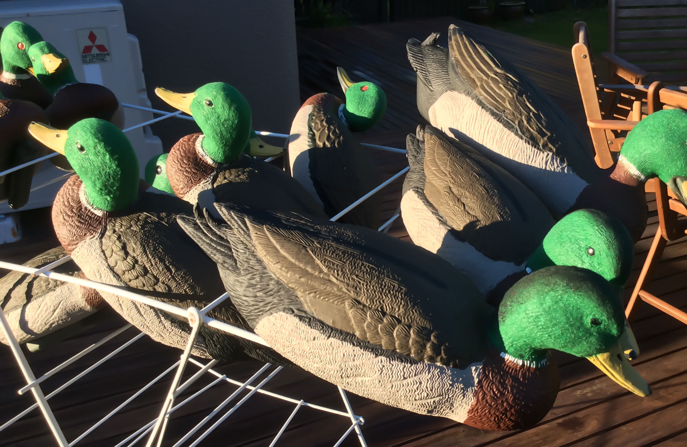 Name:  decoys-5.jpg
Views: 549
Size:  515.3 KB