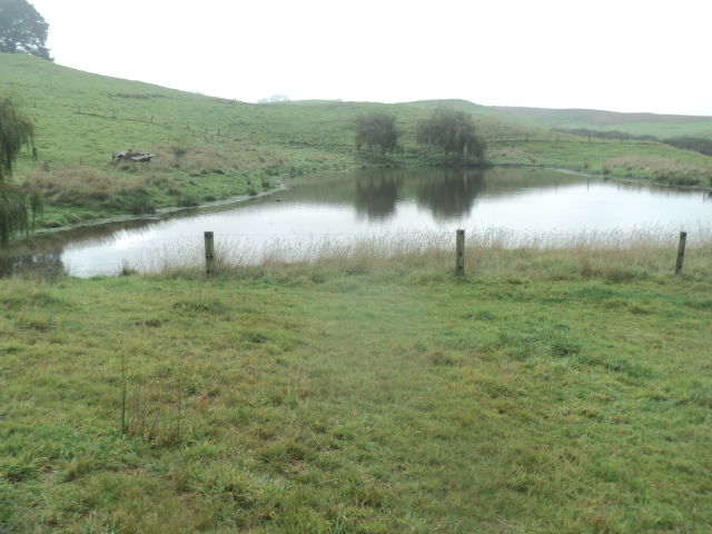 Name:  picture 01 669.jpg
Views: 212
Size:  164.6 KB