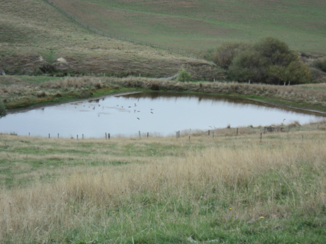 Name:  picture 1502.jpg
Views: 236
Size:  164.4 KB
