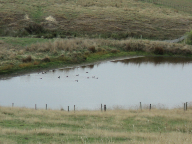 Name:  picture 1501.jpg
Views: 204
Size:  162.8 KB
