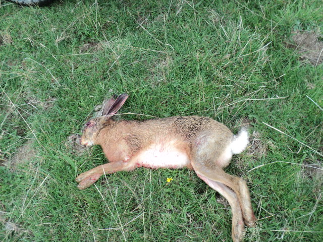 Name:  picture 1504.jpg
Views: 206
Size:  164.7 KB