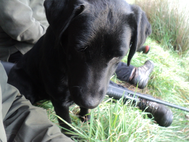 Name:  picture 01 678.jpg
Views: 269
Size:  164.4 KB