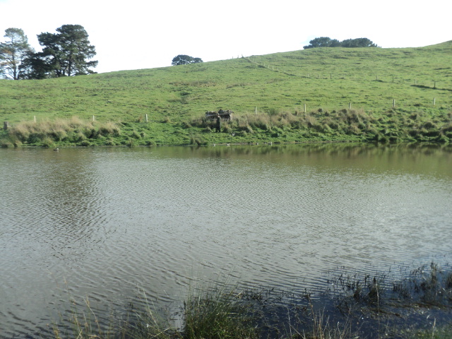 Name:  picture 01 682.jpg
Views: 260
Size:  163.6 KB