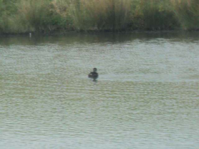 Name:  picture 01 689.jpg
Views: 263
Size:  163.2 KB