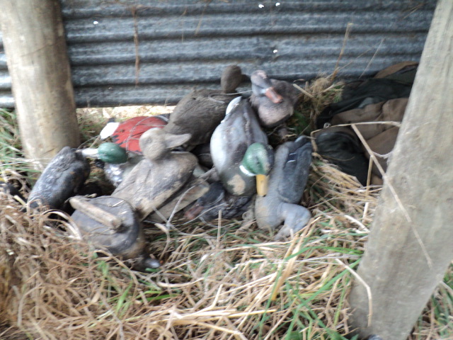 Name:  picture 1508.jpg
Views: 216
Size:  165.1 KB