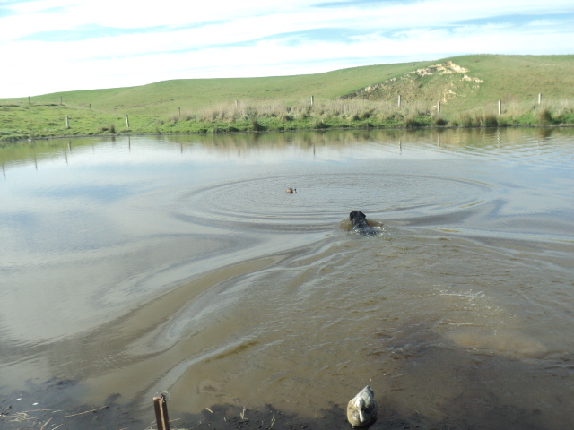 Name:  picture 01 692.jpg
Views: 231
Size:  163.6 KB