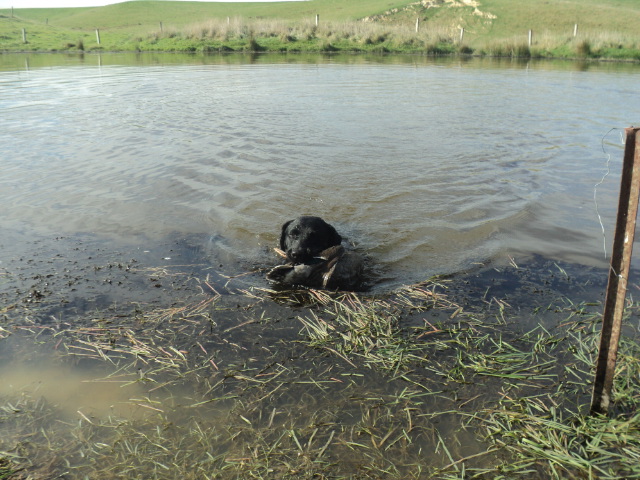 Name:  picture 01 694.jpg
Views: 243
Size:  162.2 KB