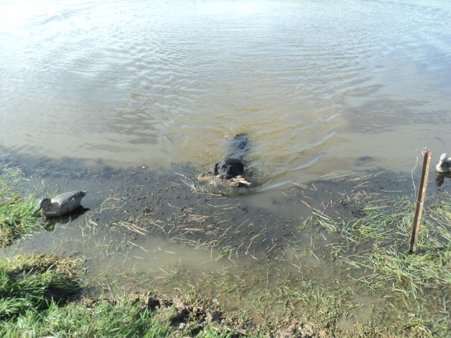 Name:  picture 01 695.jpg
Views: 304
Size:  163.3 KB