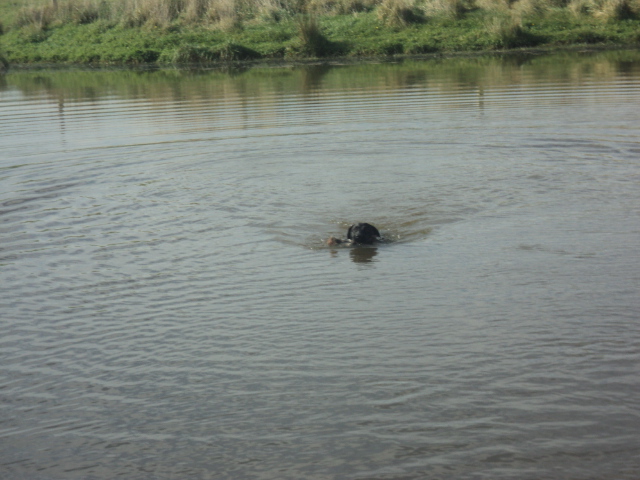 Name:  picture 01 696.jpg
Views: 298
Size:  164.7 KB