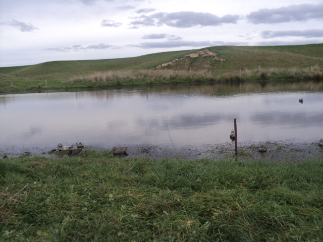 Name:  picture 01 701.jpg
Views: 242
Size:  164.8 KB