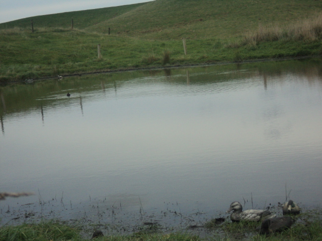 Name:  picture 01 704.jpg
Views: 274
Size:  160.3 KB