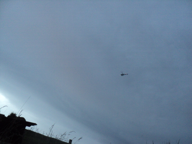 Name:  picture 01 705.jpg
Views: 339
Size:  158.9 KB