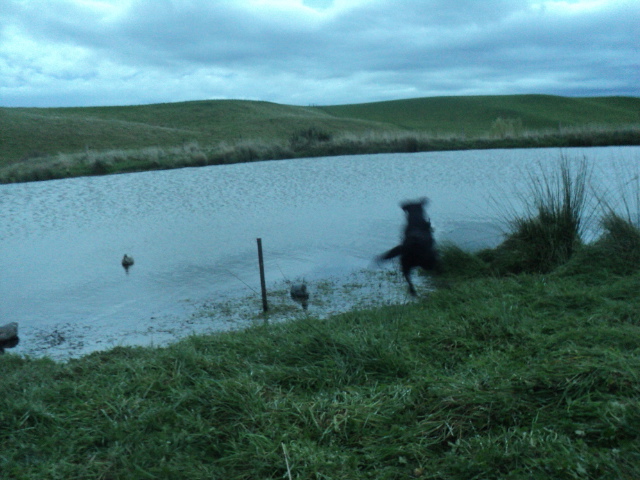 Name:  picture 01 707.jpg
Views: 293
Size:  163.4 KB