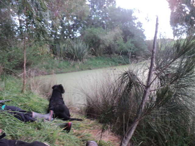Name:  picture 01 730.jpg
Views: 283
Size:  163.8 KB