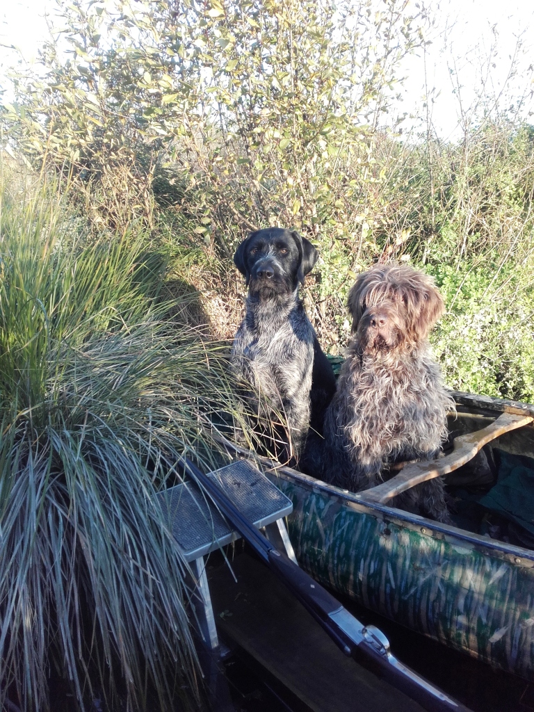 Name:  20180506_164441 Thor and Burl in canoe comp.jpg
Views: 344
Size:  654.3 KB
