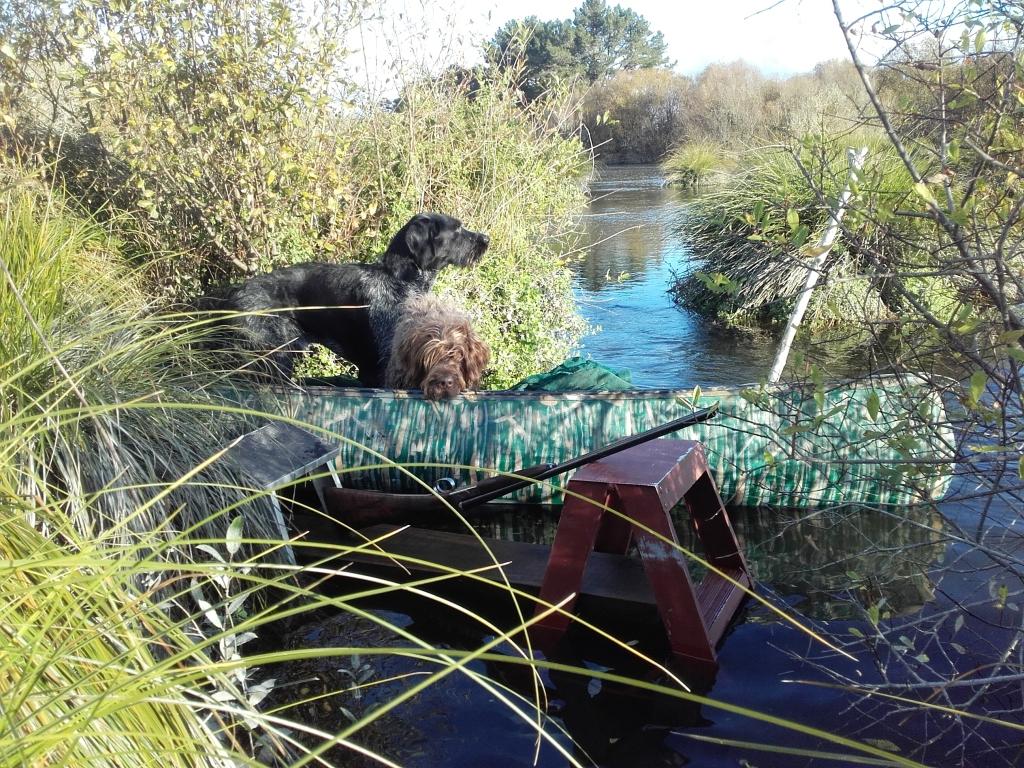 Name:  20180506_155632 Thor and Burl in canoe waiting comp.jpg
Views: 343
Size:  233.5 KB