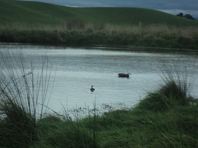 Name:  picture 01 709.jpg
Views: 308
Size:  164.6 KB