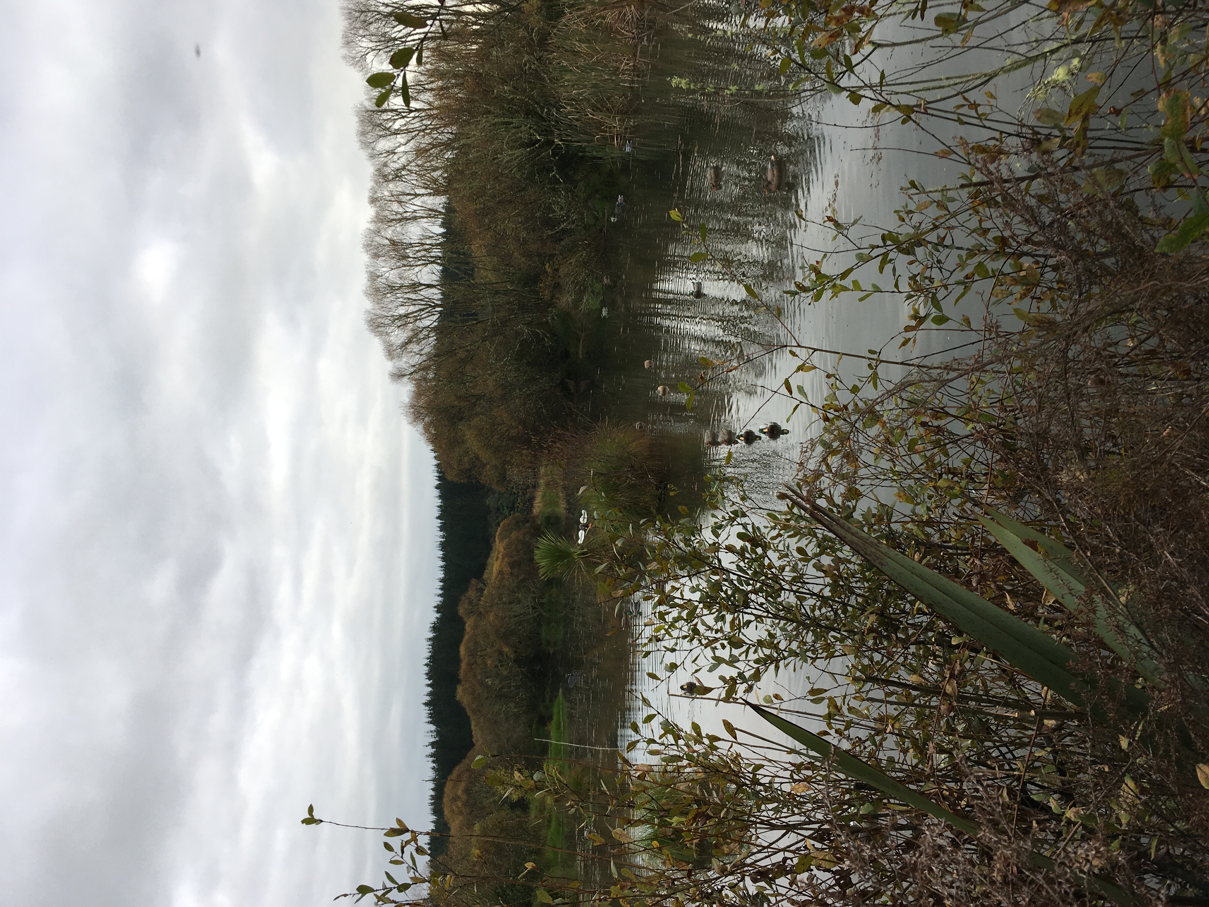 Name:  IMG_0094.JPG
Views: 391
Size:  3.32 MB