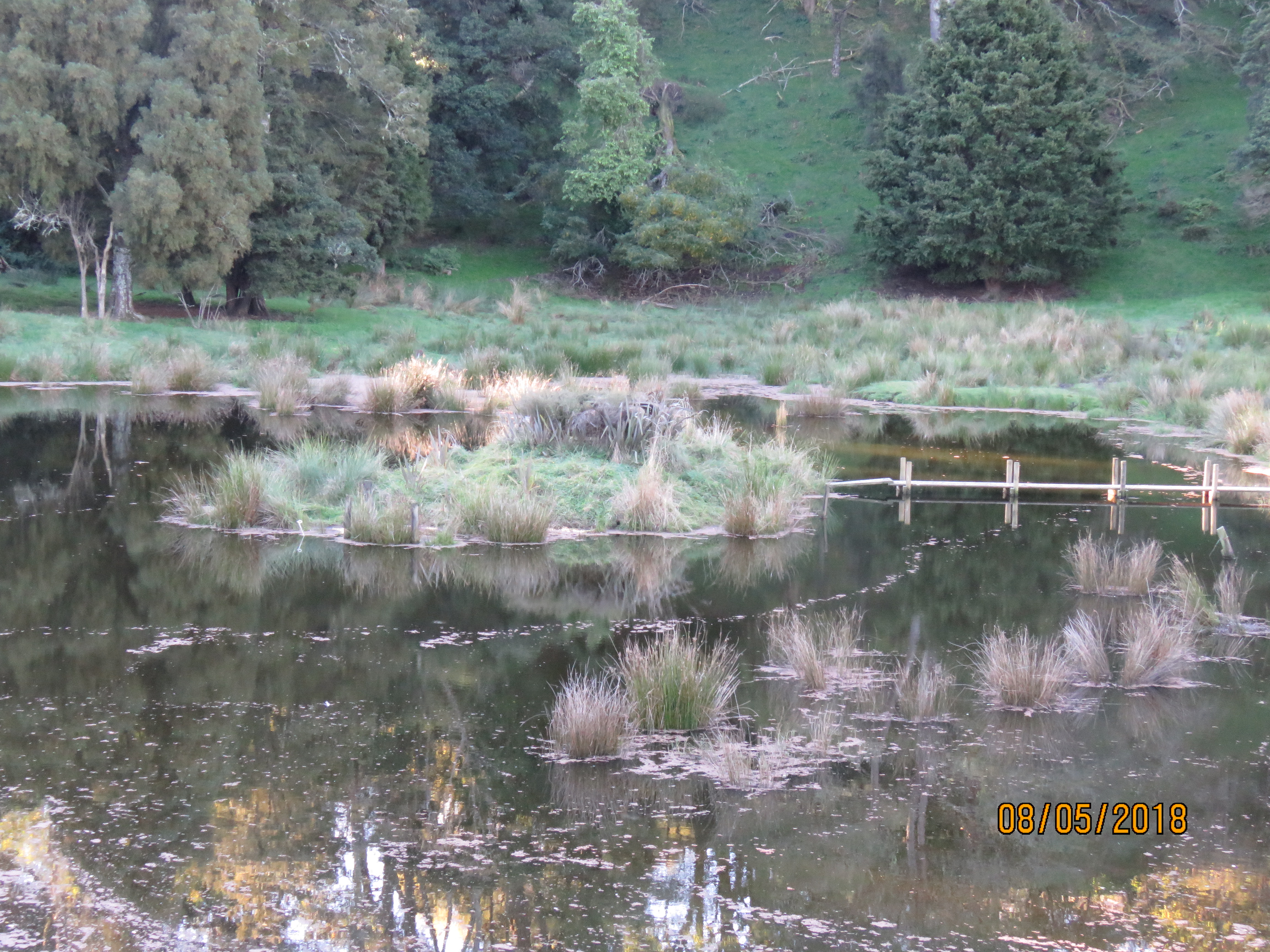 Name:  IMG_0742.JPG
Views: 412
Size:  5.39 MB