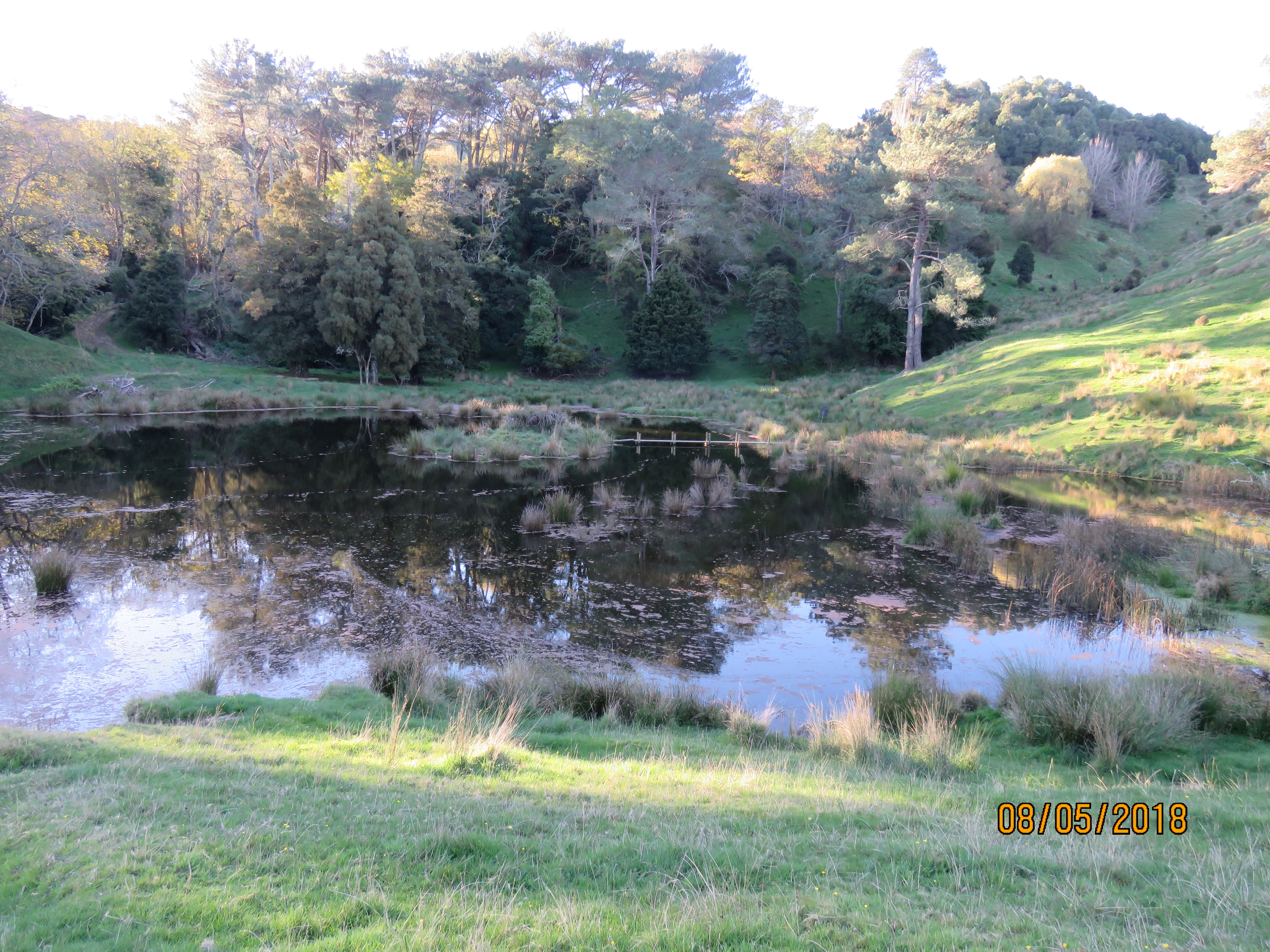 Name:  IMG_0743.JPG
Views: 377
Size:  5.70 MB