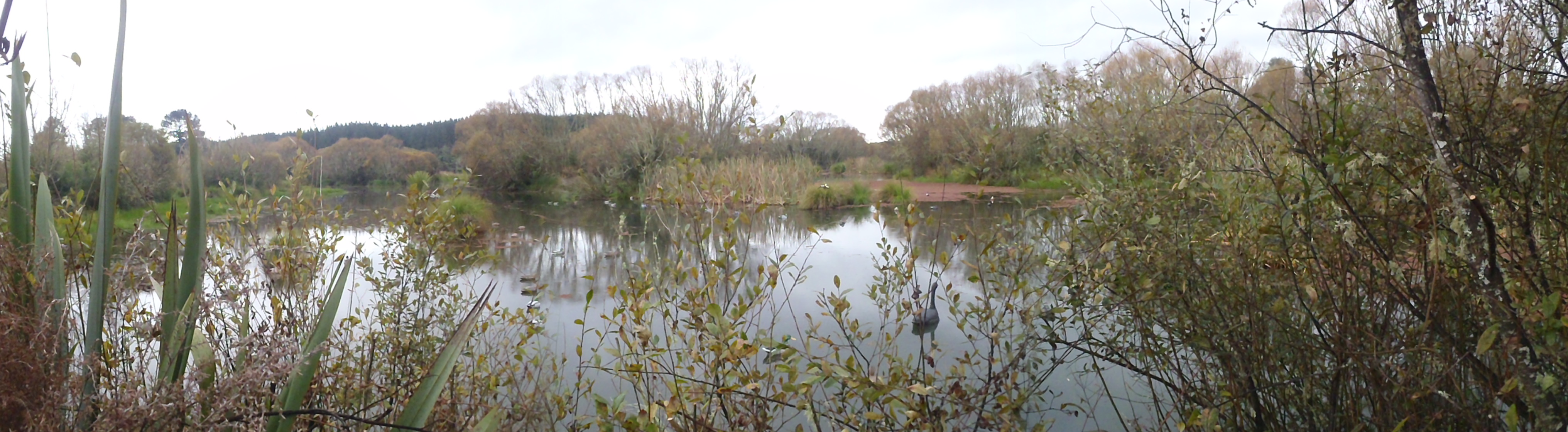 Name:  Duckshooting 2018 008.JPG
Views: 272
Size:  1.11 MB