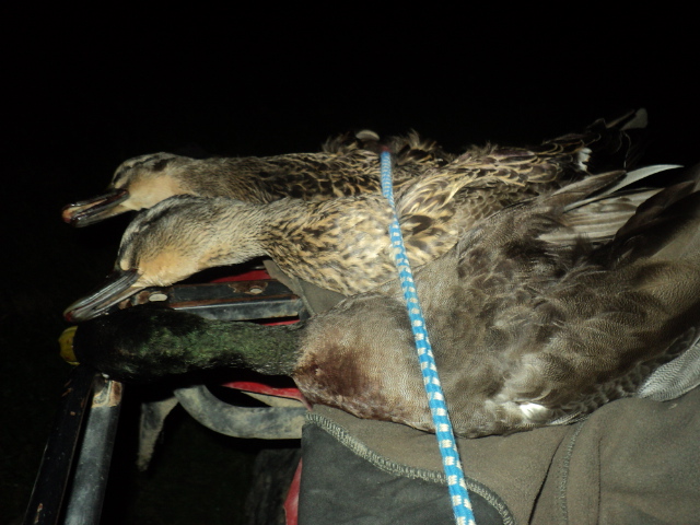 Name:  picture 01 814.jpg
Views: 259
Size:  162.7 KB