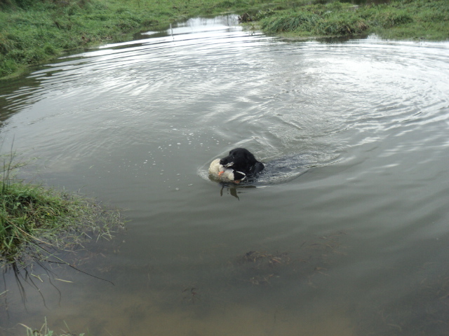Name:  picture 01 1048.jpg
Views: 419
Size:  165.2 KB