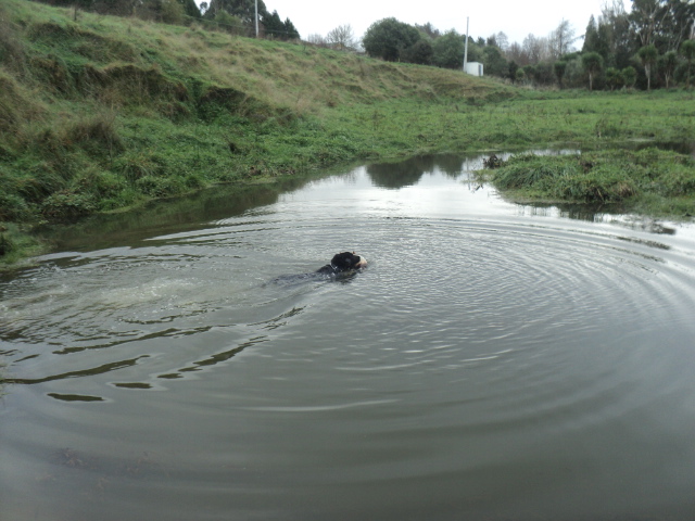 Name:  picture 01 1047.jpg
Views: 432
Size:  164.4 KB