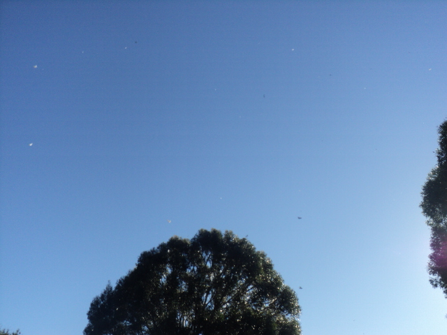 Name:  picture 01 1050.jpg
Views: 449
Size:  164.6 KB