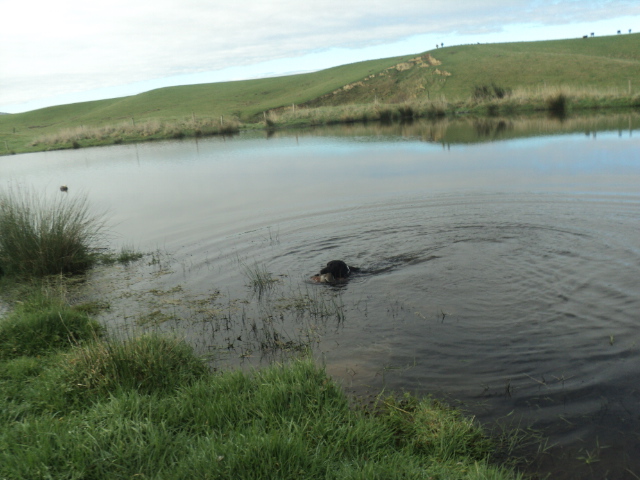 Name:  picture 01 1054.jpg
Views: 374
Size:  162.9 KB