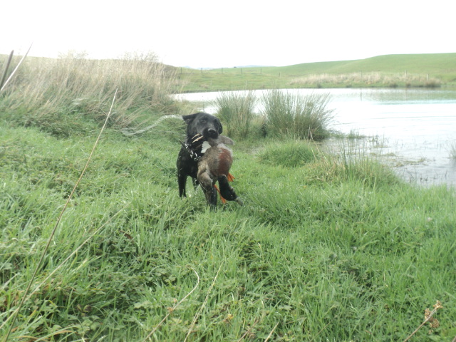 Name:  picture 01 1055.jpg
Views: 393
Size:  163.9 KB
