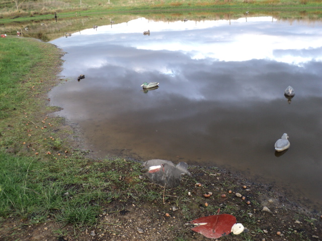 Name:  picture 1586.jpg
Views: 166
Size:  162.7 KB