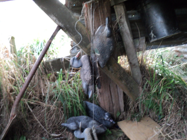 Name:  picture 1585.jpg
Views: 174
Size:  163.8 KB