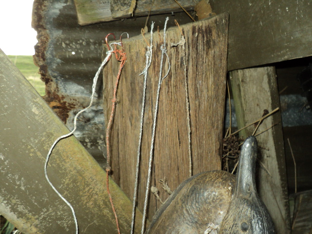 Name:  picture 1584.jpg
Views: 197
Size:  164.3 KB