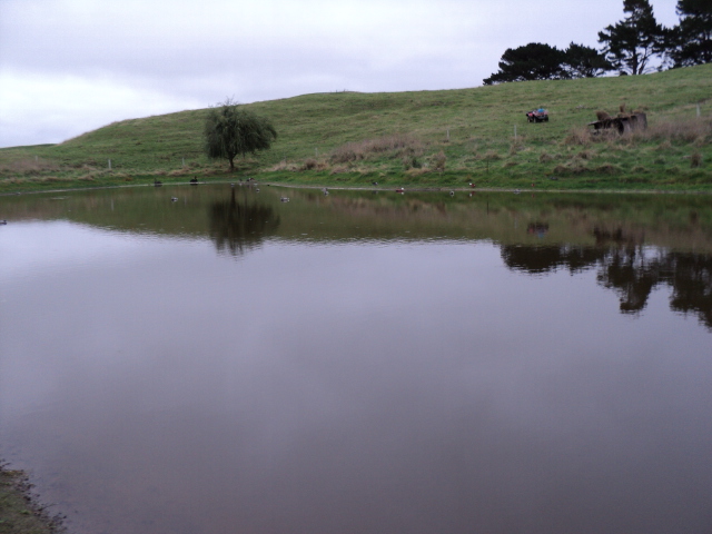 Name:  picture 1606.jpg
Views: 160
Size:  155.0 KB