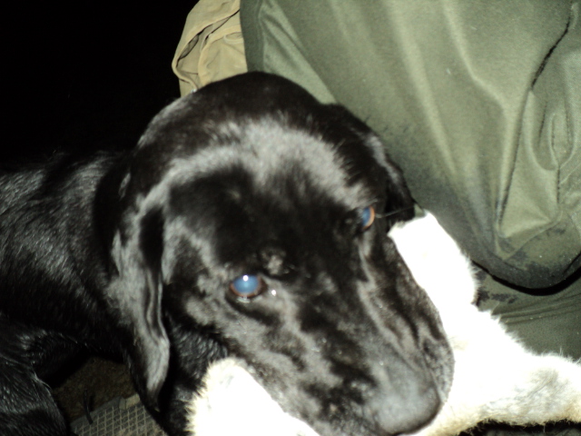 Name:  picture 1648.jpg
Views: 585
Size:  163.3 KB