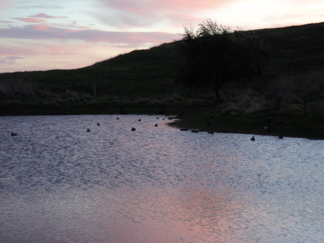 Name:  picture 1643.jpg
Views: 540
Size:  164.9 KB