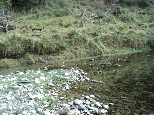 Name:  picture 1627.jpg
Views: 479
Size:  164.7 KB