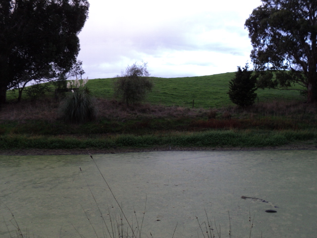 Name:  picture 1655.jpg
Views: 441
Size:  164.7 KB