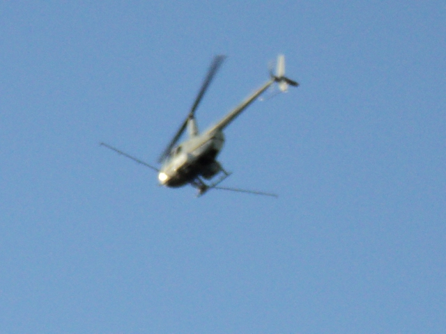 Name:  picture 1671.jpg
Views: 364
Size:  161.4 KB