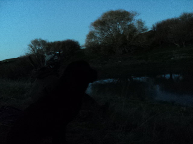 Name:  picture 1675.jpg
Views: 373
Size:  164.4 KB