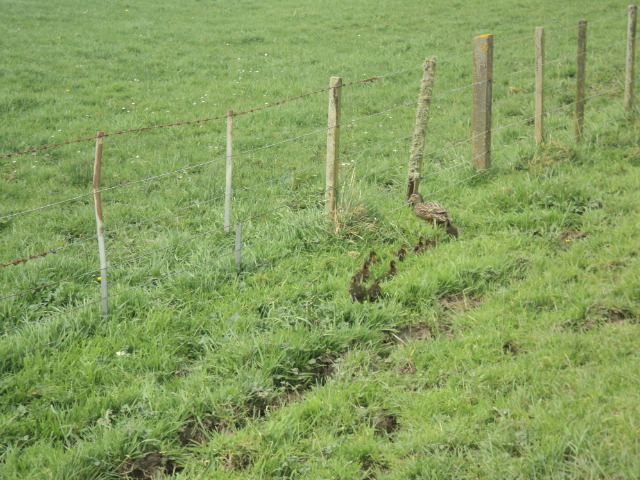 Name:  picture 01 1844.jpg
Views: 396
Size:  163.6 KB