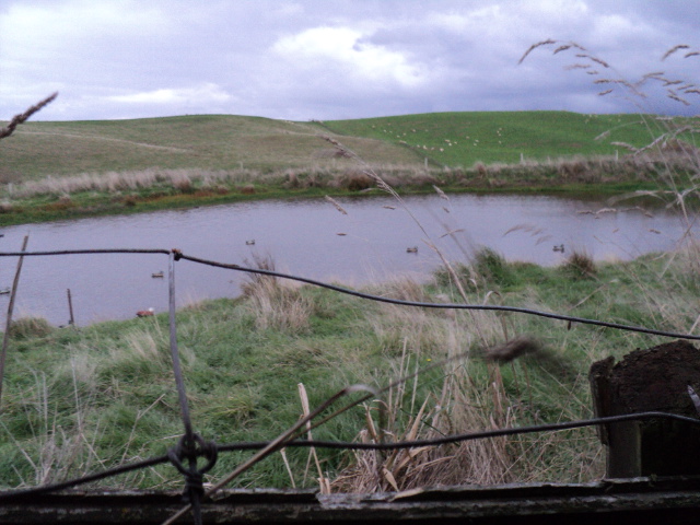 Name:  picture 1624.jpg
Views: 333
Size:  163.1 KB