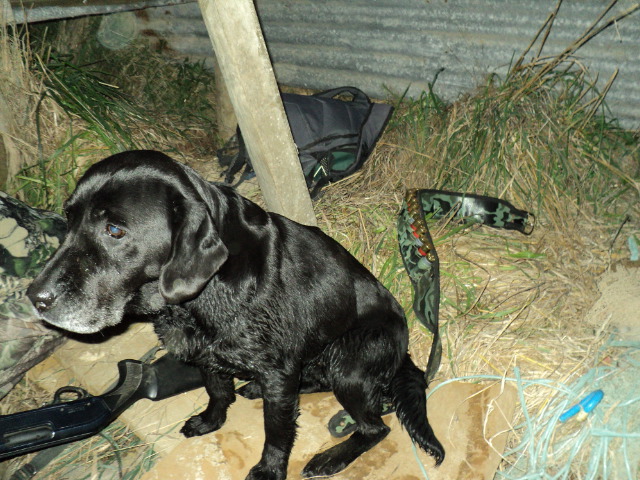 Name:  picture 1625.jpg
Views: 338
Size:  165.1 KB