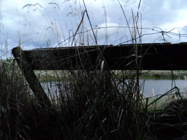 Name:  picture 1626.jpg
Views: 357
Size:  164.8 KB