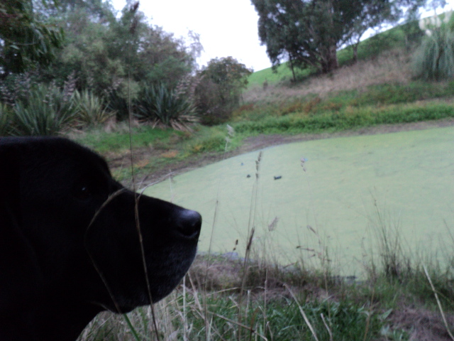 Name:  picture 1679.jpg
Views: 337
Size:  163.9 KB